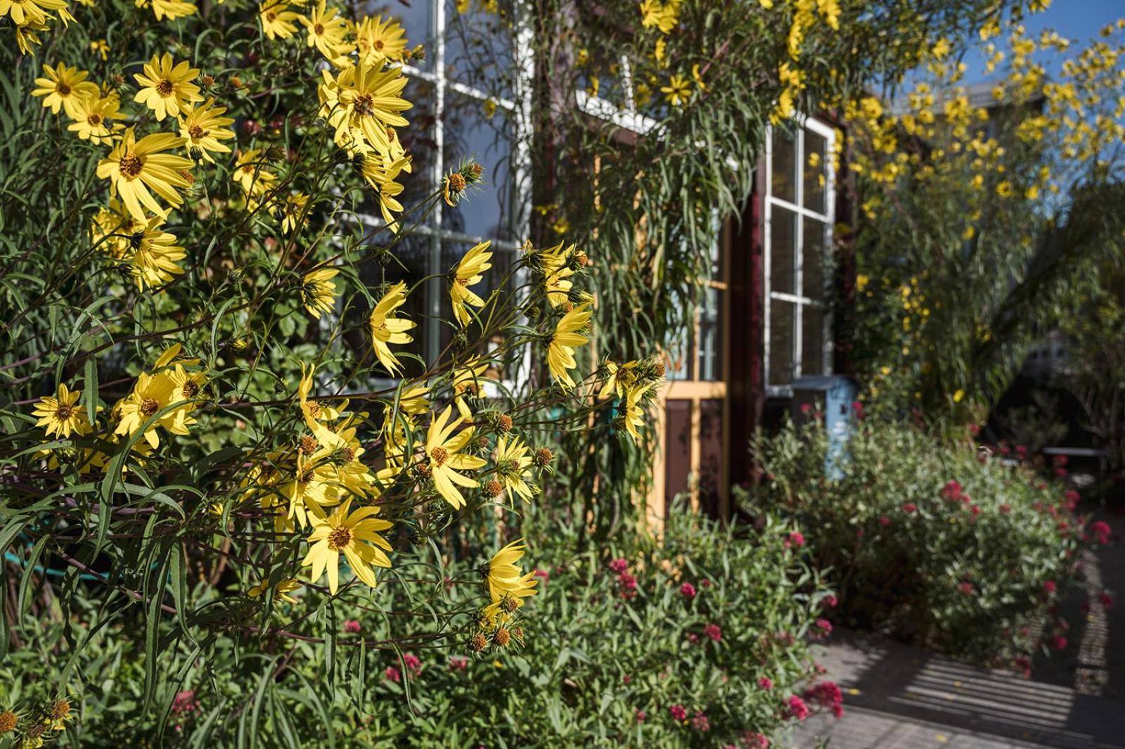 Wanderlust Boutique Rooms Bad Goisern Exteriér fotografie